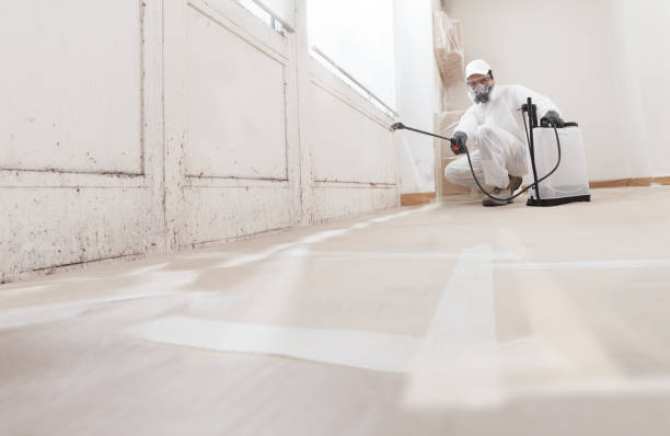 24/7 Emergency Commercial Mold Remediation experts in Edenton, NC