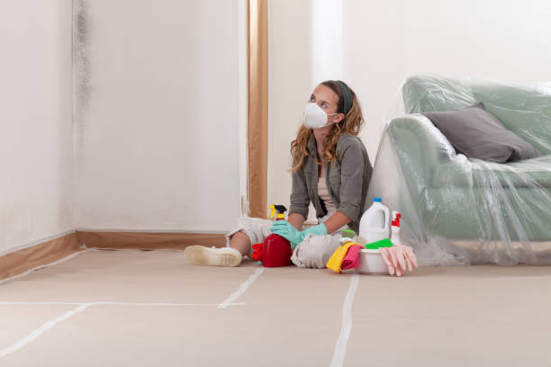 Reliable Commercial Mold Remediation contractor in Edenton, NC by WQB Mold Removal