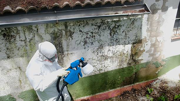 Top rated local Commercial Mold Remediation specialists in Edenton, NC